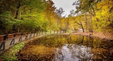 Viziteaza statiunea Sovata in luna Septembrie!