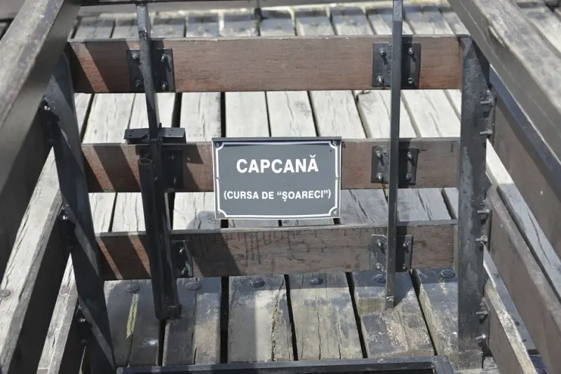 Cetatea Neamtului, simbolul istoric al judetului Neamt