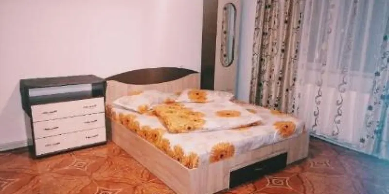 Casa Dumitru, fotografia 4 din 11