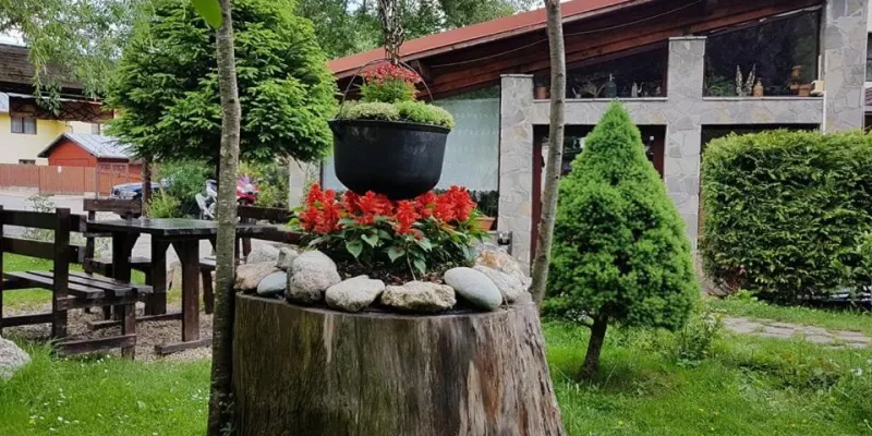 Liziera, fotografia 3 din 71